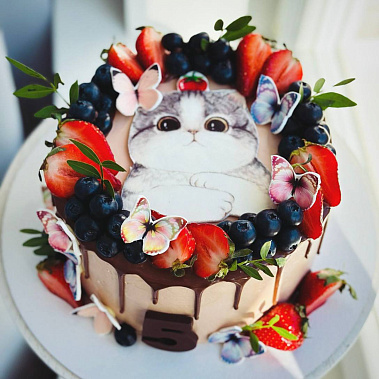 Торт "Котенок" купить - cтупино.сладкоежкин.рф